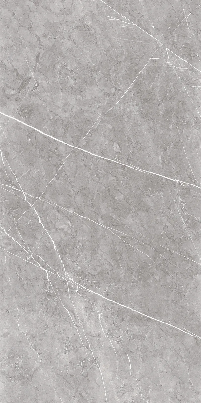 Acron Grey face 2