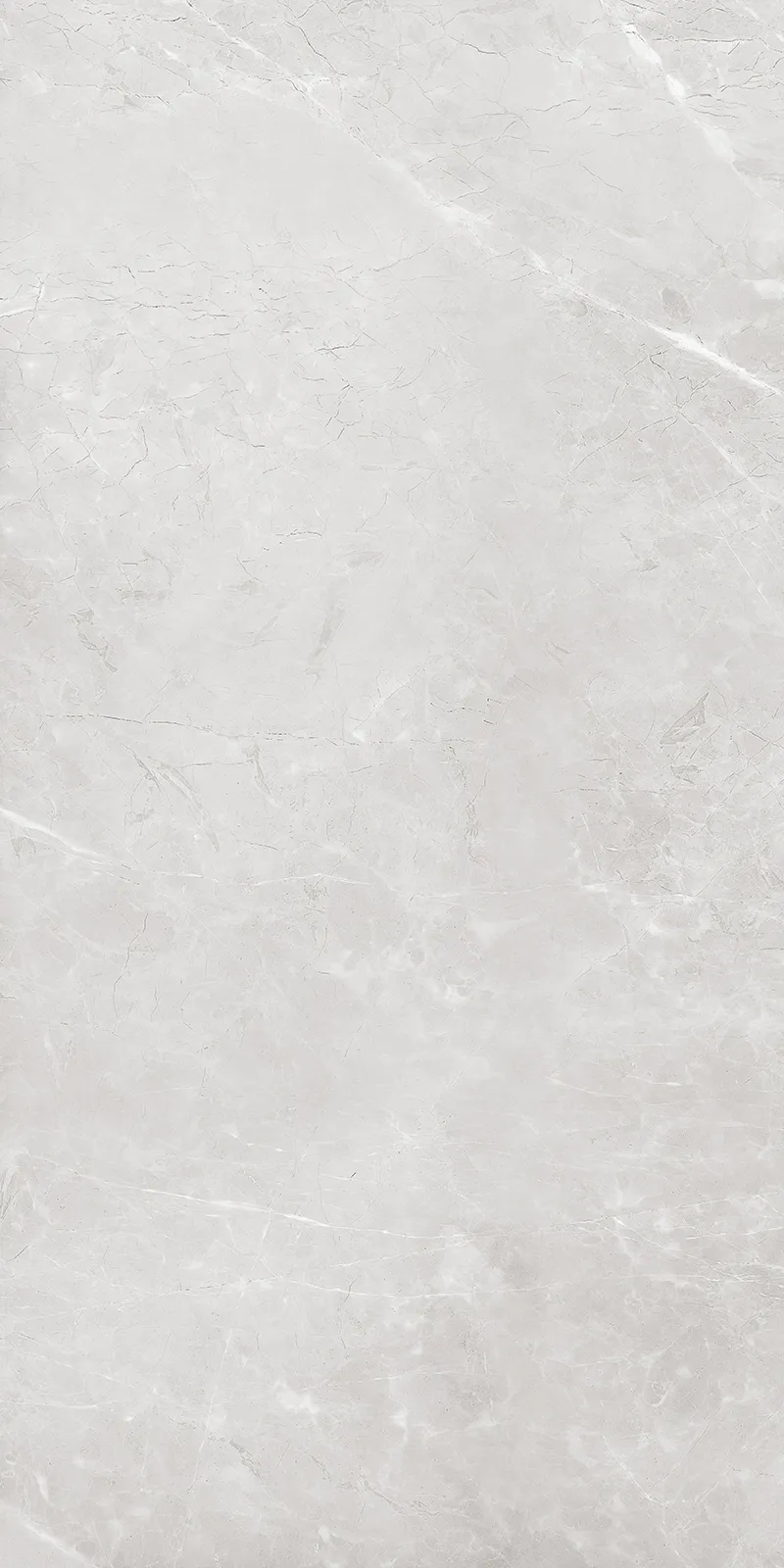 Bullberry Grey face 2