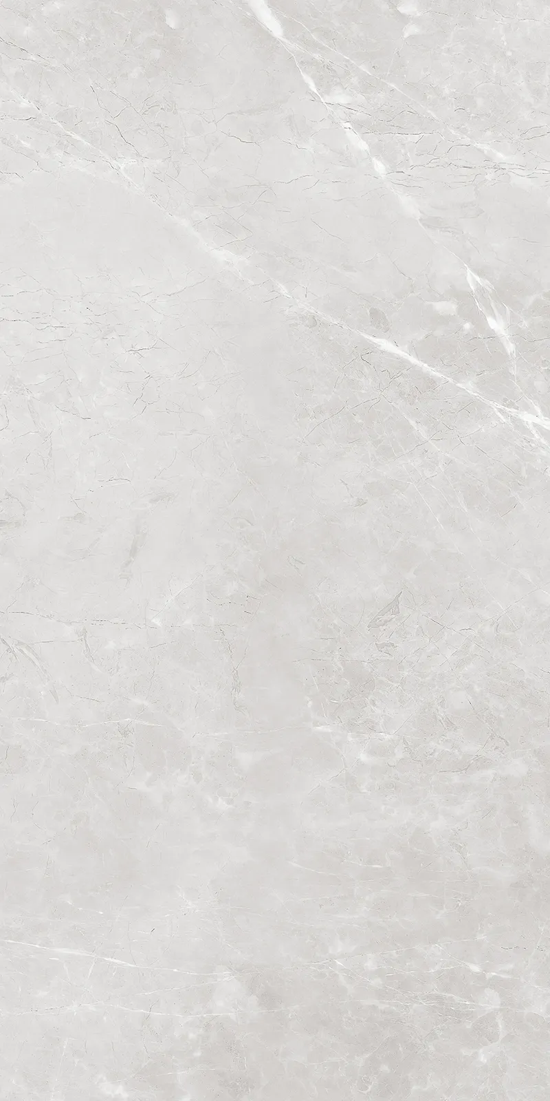 Bullberry Grey face 3
