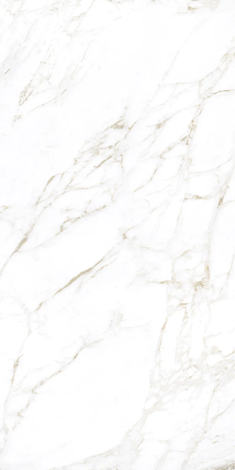 Carrara Gold porcelain tile face