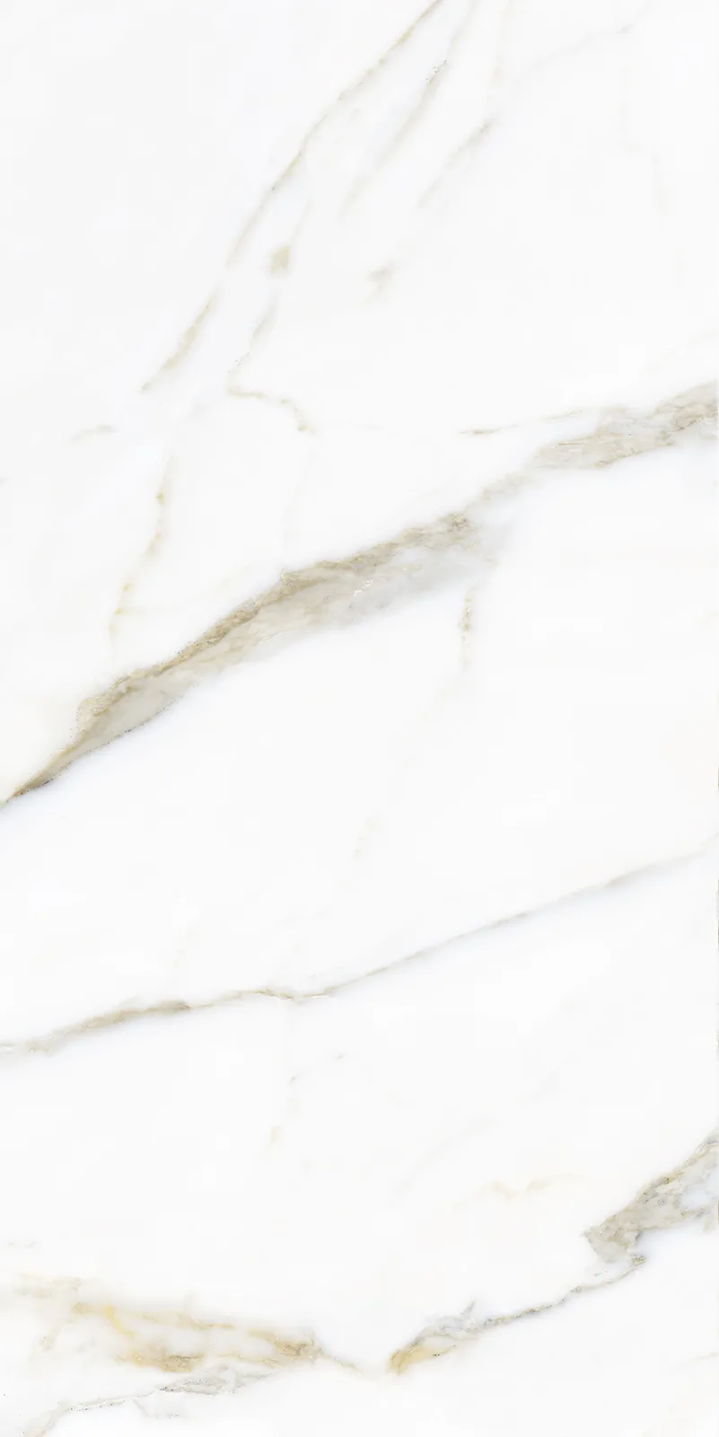 Cerrato porcelain tile face