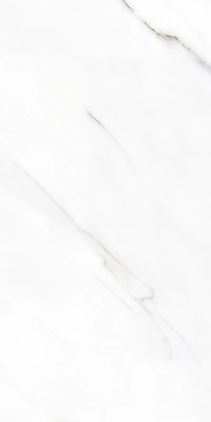 Linia White face 4