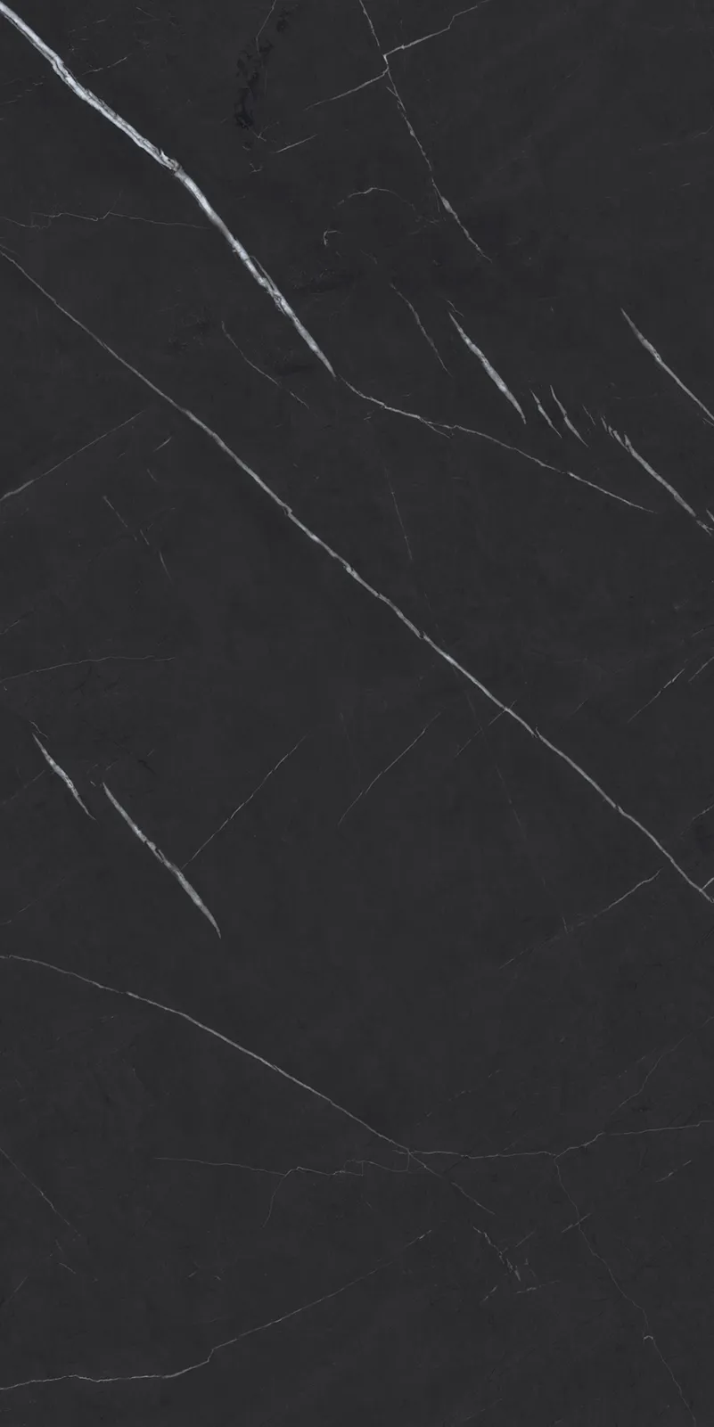Pietra Gris face 4