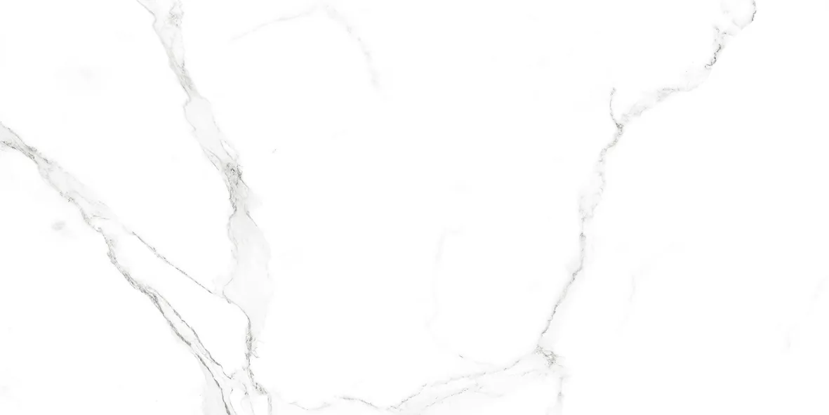 Satvario face 4